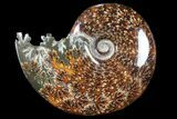 Polished, Agatized Ammonite (Cleoniceras) - Madagascar #94264-1